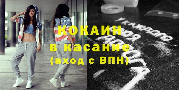 индика Аша